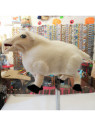 Marionnette le Mouton 3 chez Souvenirsdelyon.Com