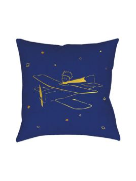 Coussin garni le Petit Prince aviateur chez Souvenirsdelon.com