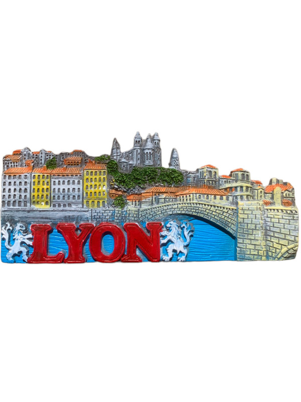 Panoramic Lyon magnet