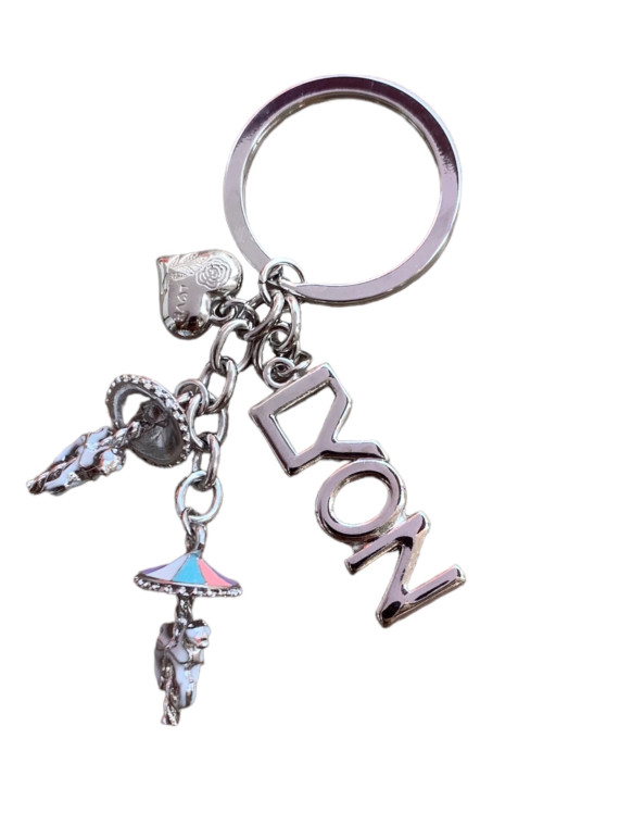 Porte-clés Lyon caroussel chez Souvenirsdelyon.com