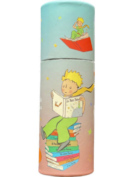 Boite de 12 minis crayons de couleurs Le Petit Prince Livres chez Souvenirsdelyon.Com