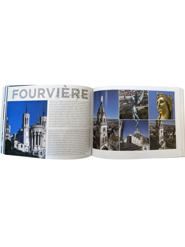 Livre Lyon Résumé