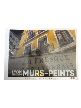 Livre Lyon Capitale des murs peints chez Souvenirsdelyon.com