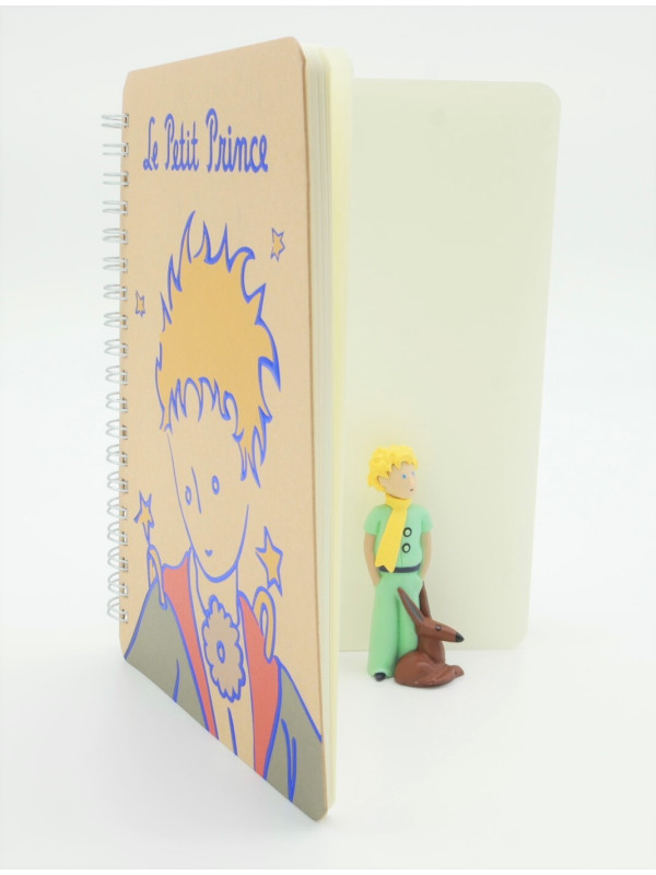 Carnet le Petit Prince portrait chez Souvenirsdelyon.com