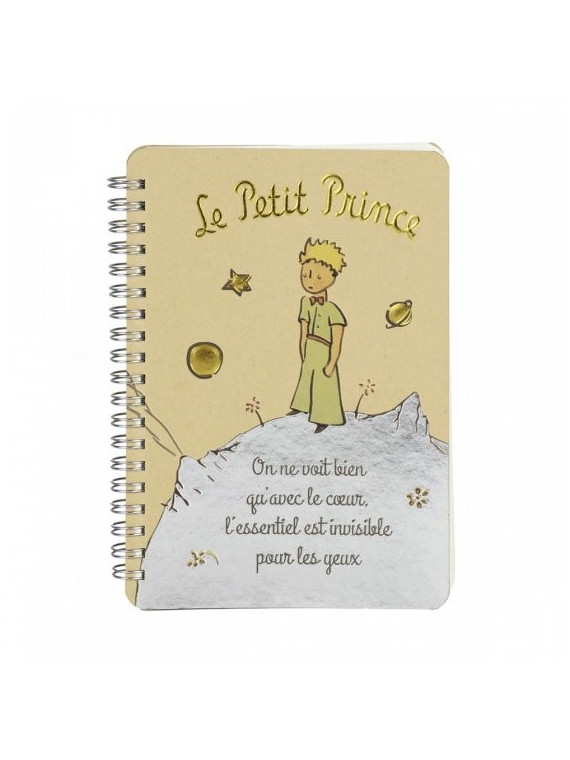 Notebook The Little Prince on his planet  on Souvenirsdelyon.com