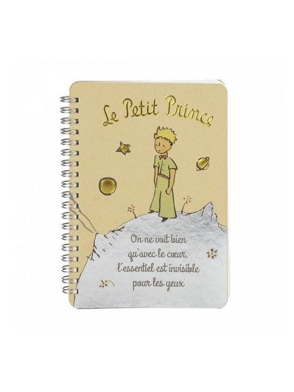 Carnet le Petit Prince sur sa planète chez Souvenirsdelyon.com