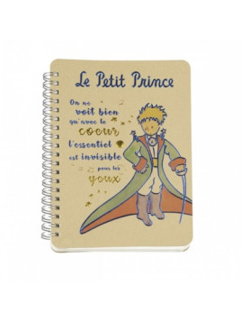Carnet le Petit Prince en cape chez Souvenirsdelyon.com