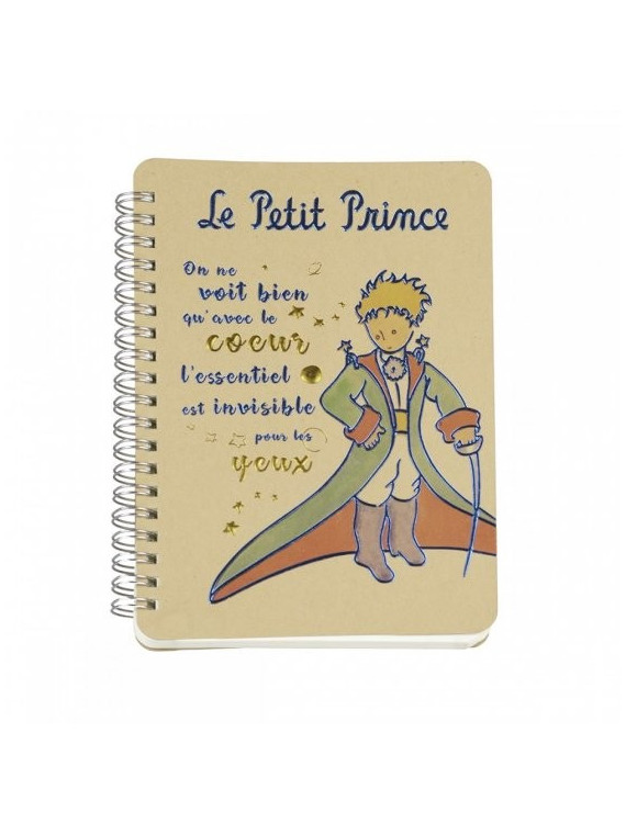 Carnet le Petit Prince en cape chez Souvenirsdelyon.com