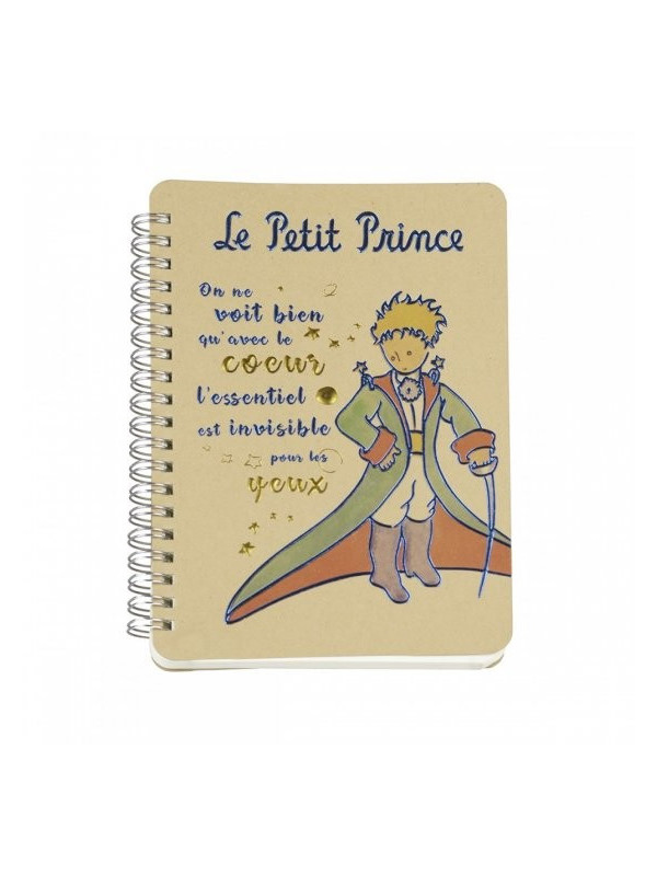 The Little Prince in a cape notebook  on Souvenirsdelyon.com