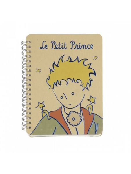 Carnet le Petit Prince portrait chez Souvenirsdelyon.com