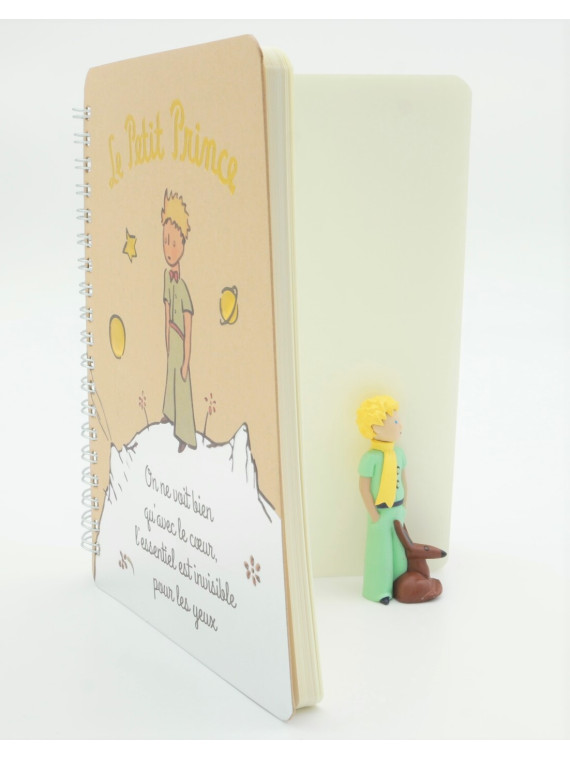 Carnet le Petit Prince sur sa planète chez Souvenirsdelyon.com