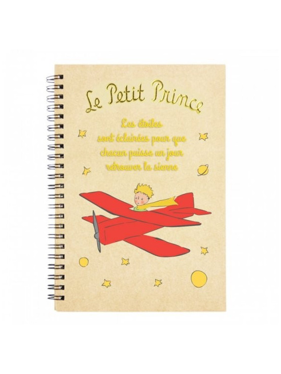 Carnet le Petit Prince aviateur chez Souvenirsdelyon.com
