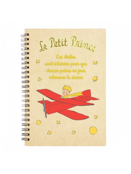 Notebook the Little Prince aviator souvenirsdelyon.com