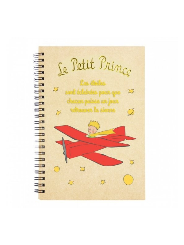 Carnet le Petit Prince aviateur chez Souvenirsdelyon.com