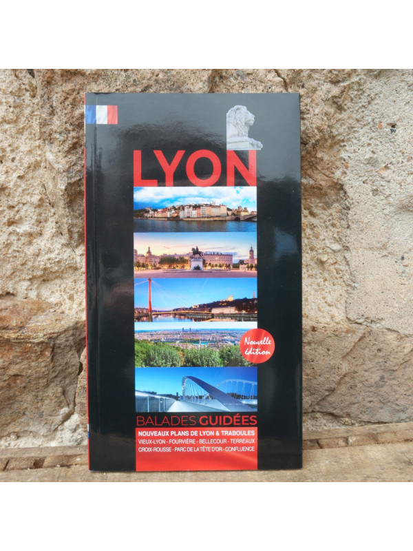 Book Lyon Guided Walks in French Souvenirsdelyon.com