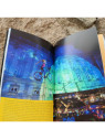 Livre Lyon Balades guidées Francais chez Souvenirsdelyon.com