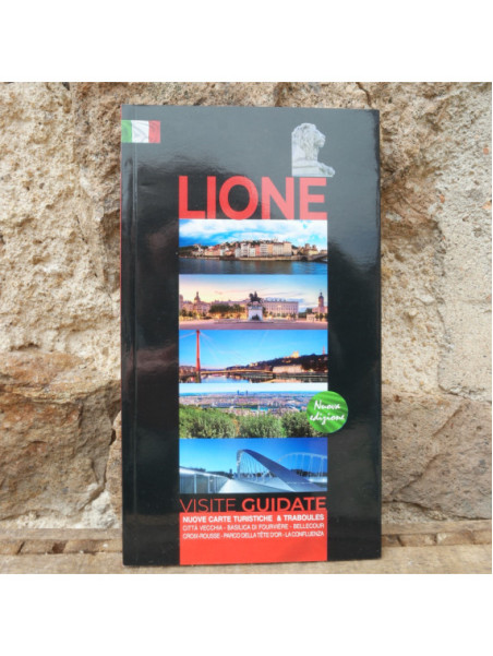 Book Lyon Guided Walks in Italian Souvenirsdelyon.com