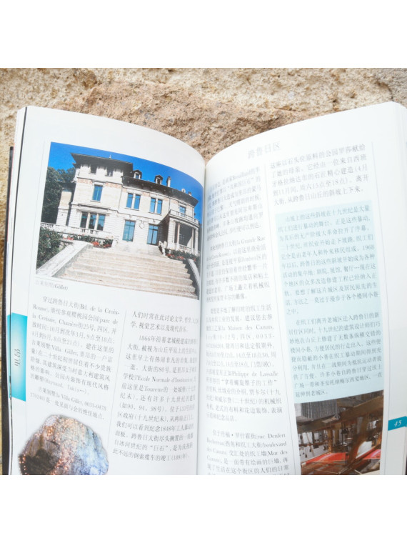 Book Lyon Guided Walks in Chinese Souvenirsdelyon.com