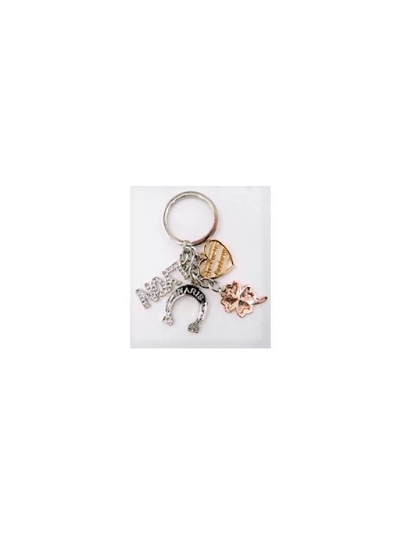 Lyon lucky chance key ring Souvenirsdelyon.com